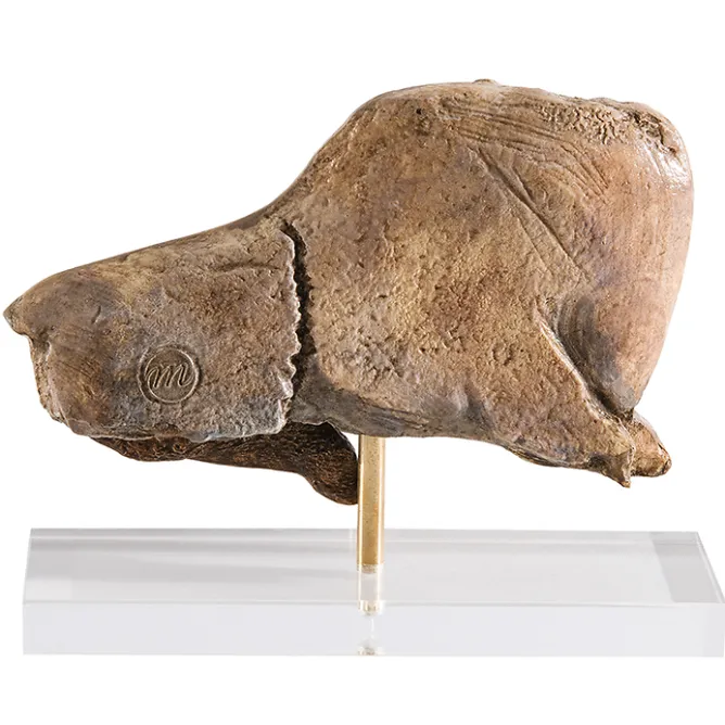 Boutiques de musées Moulage Bison se léchant Sale