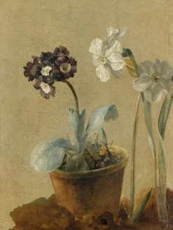 Panneaux Acryliques|Toiles Encadrées<Boutiques de musées Nature morte de narcisses et d'oreilles-d'ours (panneaux acryliques)