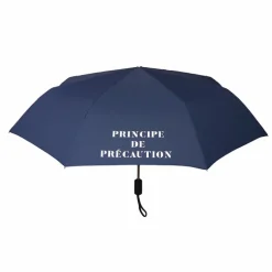 Boutiques de musées Parapluie pliable Conseil constitutionnel - Principe de précaution Clearance