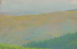 Boutiques de musées Paysage de montagne avec forêt de sapins au premier plan (panneaux acryliques) Sale