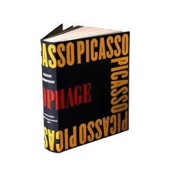 Catalogues D'Exposition<Boutiques de musées Picasso iconophage - Catalogue d'exposition