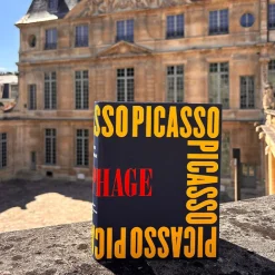 Catalogues D'Exposition<Boutiques de musées Picasso iconophage - Catalogue d'exposition