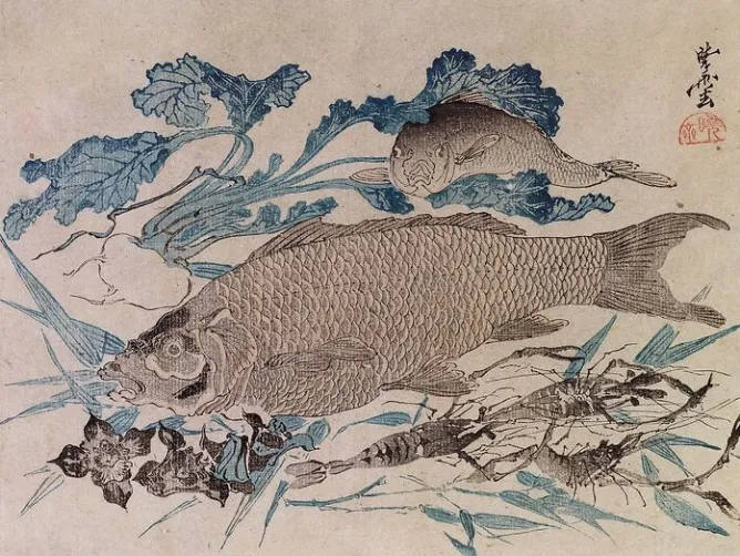 Boutiques de musées Poissons, écrevisse et fleurs (toiles encadrées) Online