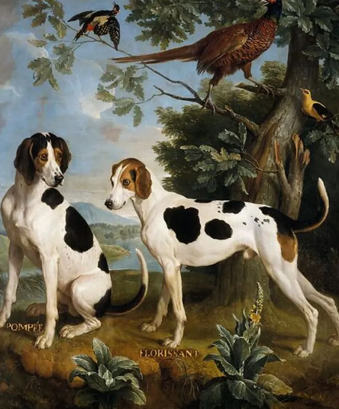 Boutiques de musées Pompée et Florissant, chiens de Louis XV (panneaux aluminium) Hot