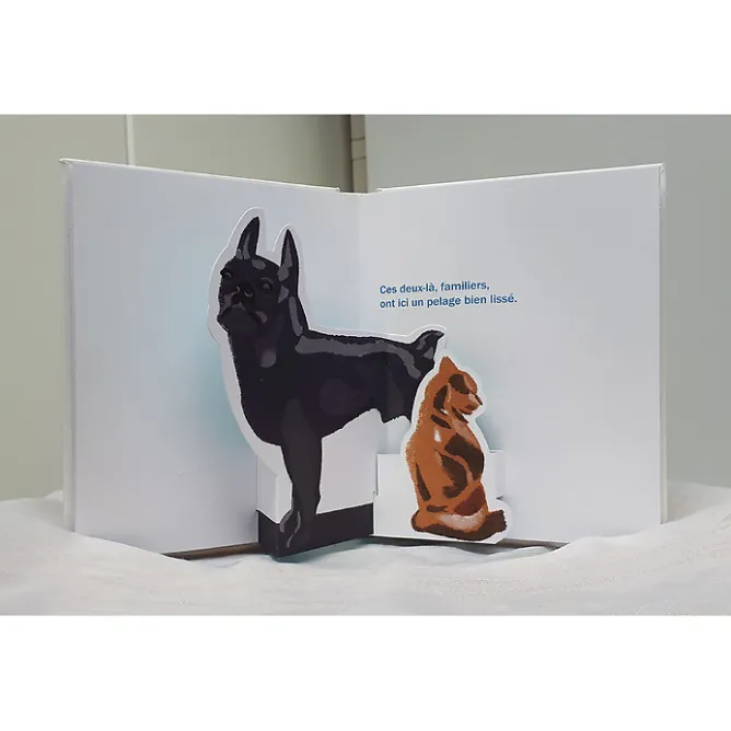 Boutiques de musées Pop-up Animaux Pompon Hot