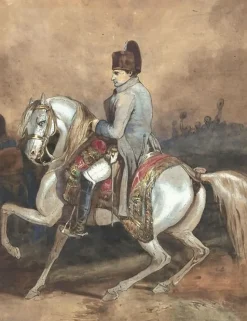 Boutiques de musées Portrait équestre de Napoléon (panneaux aluminium) Discount
