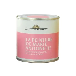 Boutiques de musées Pot de peinture Marie-Antoinette - Rose Clearance
