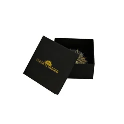 Accessoires De Bureau|Art De La Maison<Boutiques de musées Presse-papier en verre Emblème du soleil - Château de Versailles