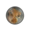 Accessoires De Bureau<Boutiques de musées Presse-papiers Rosa Bonheur - Tête de lion