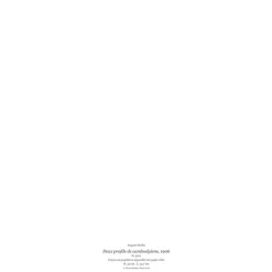 Affiches Et Reproductions<Boutiques de musées Reproduction Auguste Rodin - Deux profils cambodgiens