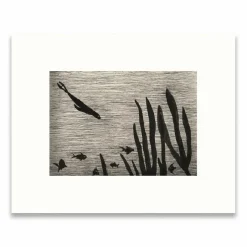 Affiches Et Reproductions<Boutiques de musées Reproduction sous Marie-Louise Léopold Chauveau - Le petit phoque