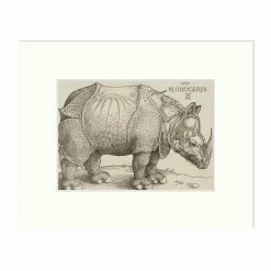 Affiches Et Reproductions<Boutiques de musées Reproduction sous Marie-Louise Albrecht Dürer - Le rhinocèros, 1515