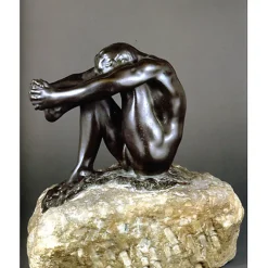 Monographies|Éditions De Luxe<Boutiques de musées Rodin et le bronze - Catalogue des œuvres conservées au musée Rodin T.1 et T.2