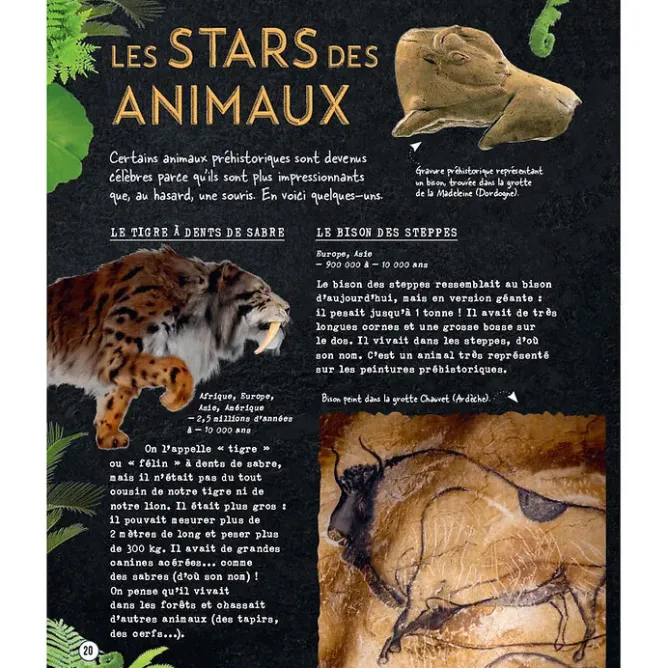 Boutiques de musées Si la Préhistoire m'était contée - Secrets d'Histoire junior New