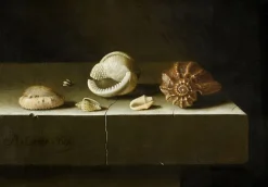 Toiles Sans Cadre|Toiles Encadrées<Boutiques de musées Six coquillages sur une table de pierre (toiles sans cadre)
