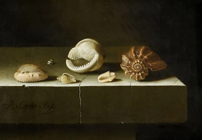 Toiles Sans Cadre|Toiles Encadrées<Boutiques de musées Six coquillages sur une table de pierre (toiles sans cadre)