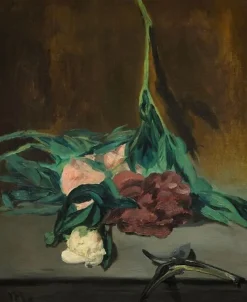 Boutiques de musées Tige de pivoines et sécateur (affiches d'art encadrées) Hot