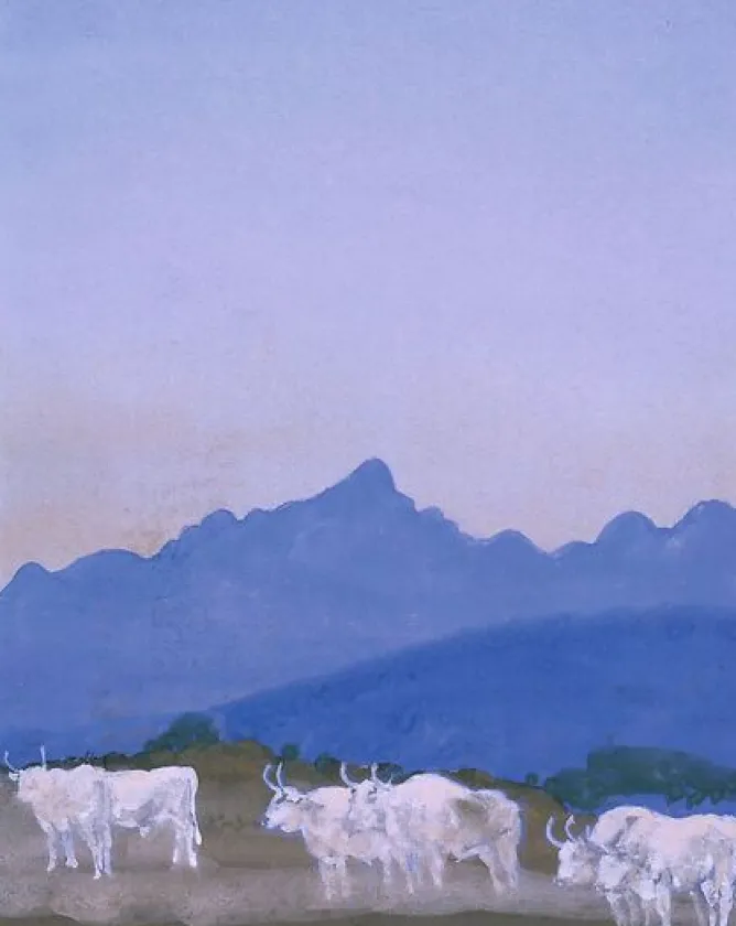 Affiches D'Art<Boutiques de musées Trois couples de boeufs blancs sur fond de montagnes (les Apennins), le matin (affiches d'art)