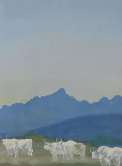 Boutiques de musées Trois couples de taureaux blancs sur fond de montagnes (panneaux aluminium) Clearance