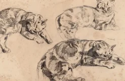 Boutiques de musées Trois études de chats allongés, la tête vers la droite (toiles sur châssis)