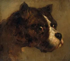 Panneaux Aluminium|Panneaux Acryliques<Boutiques de musées Tête de Bouledogue (panneaux aluminium)