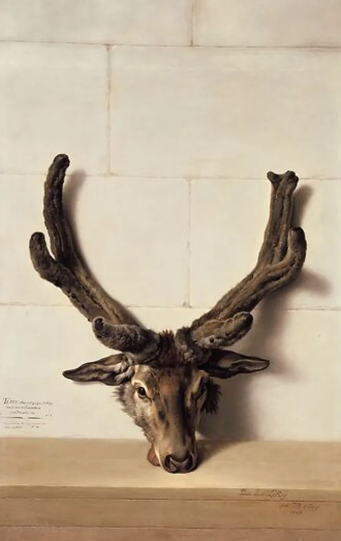 Boutiques de musées Tête de cerf bizarre sur un mur de pierre, signé et daté en bas à droite (panneaux aluminium) Online