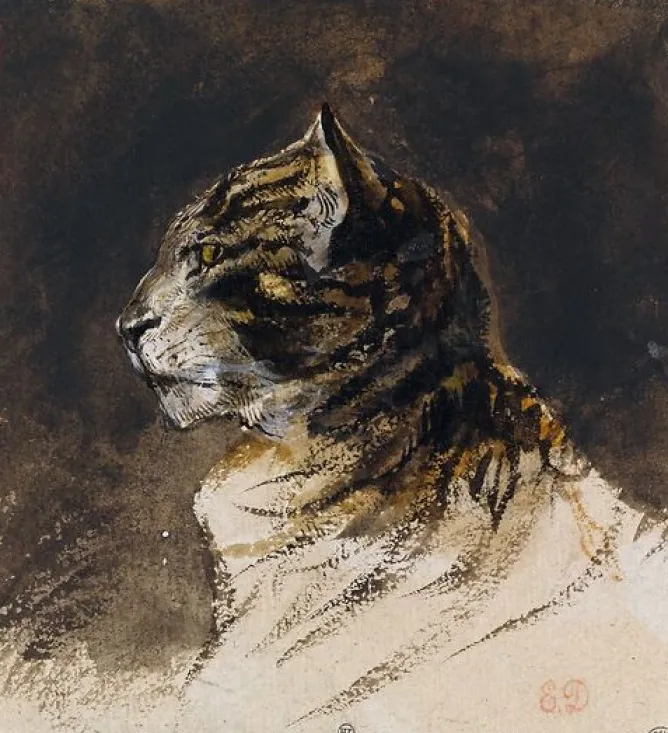 Toiles Sur Châssis|Affiches D'Art<Boutiques de musées Tête de chat (toiles sur châssis)