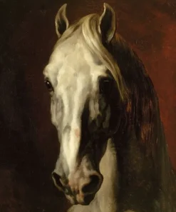 Toiles Sans Cadre|Affiches D'Art Encadrées<Boutiques de musées Tête de cheval blanc (toiles sans cadre)