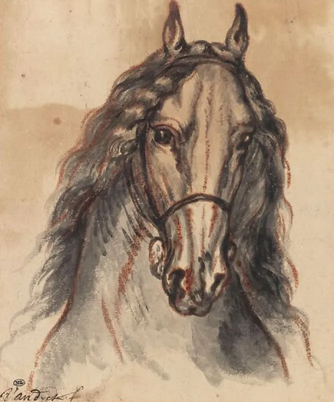 Boutiques de musées Tête de cheval, vue de face (panneaux acryliques) Outlet