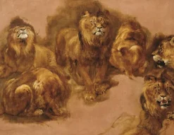Panneaux Aluminium|Toiles Sur Châssis<Boutiques de musées Étude de lions et de lionnes (panneaux aluminium)