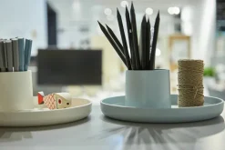 Design|Accessoires De Bureau<Boutiques de musées Vide-poche O-Tidy Michel Charlot - Blanc - Vitra
